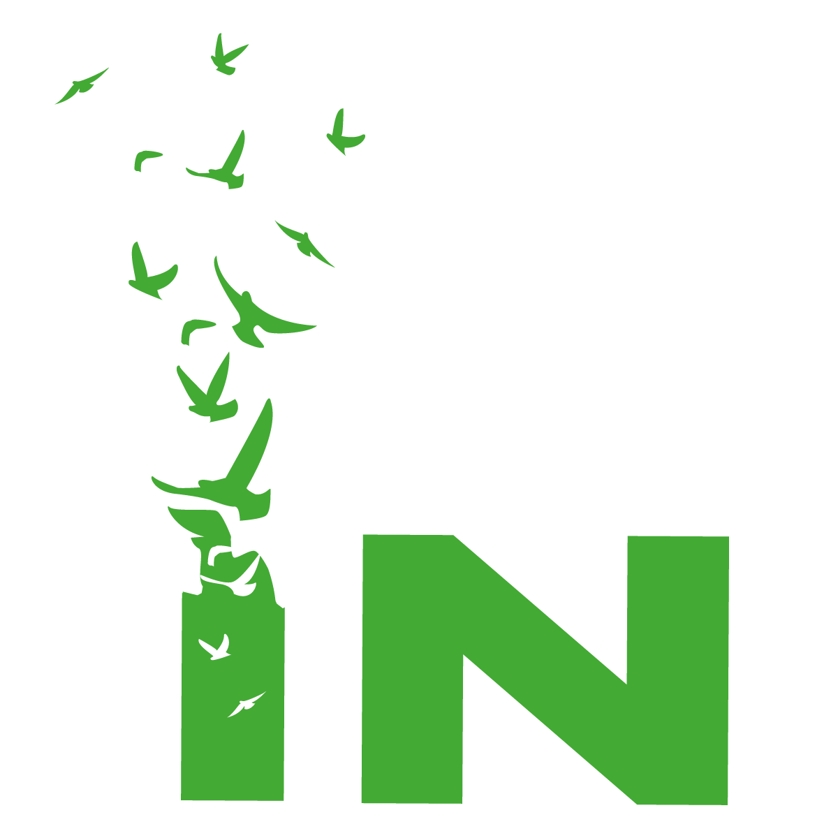 IN Logo
